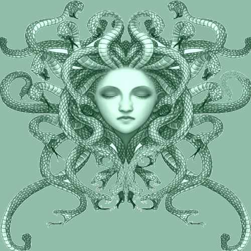 medusa Metadata