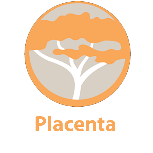 Placenta Metadata