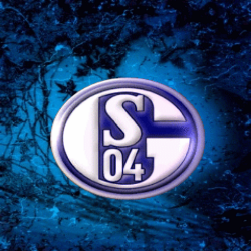 Schalke 04  (16)